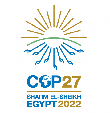 COP 27