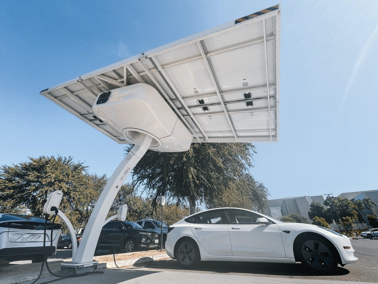 Weekend Roundup: India may put EVs in priority lending list, BYD buys Jabil's China mobility operations