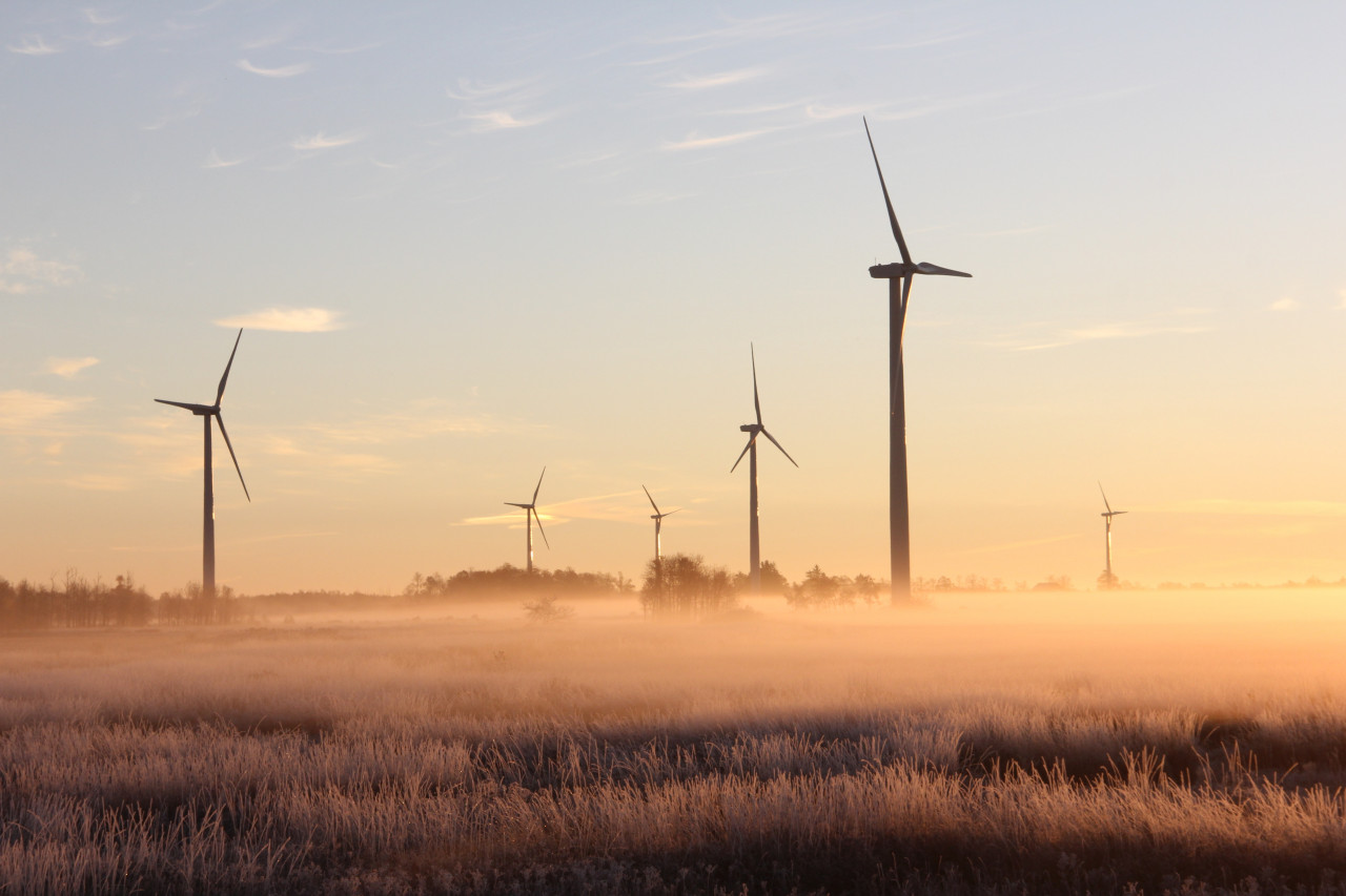 Daily Shorts: NZ bio-graphite start-up gets funding, Norway eyes 1 GW Iberdrola RE assets and more