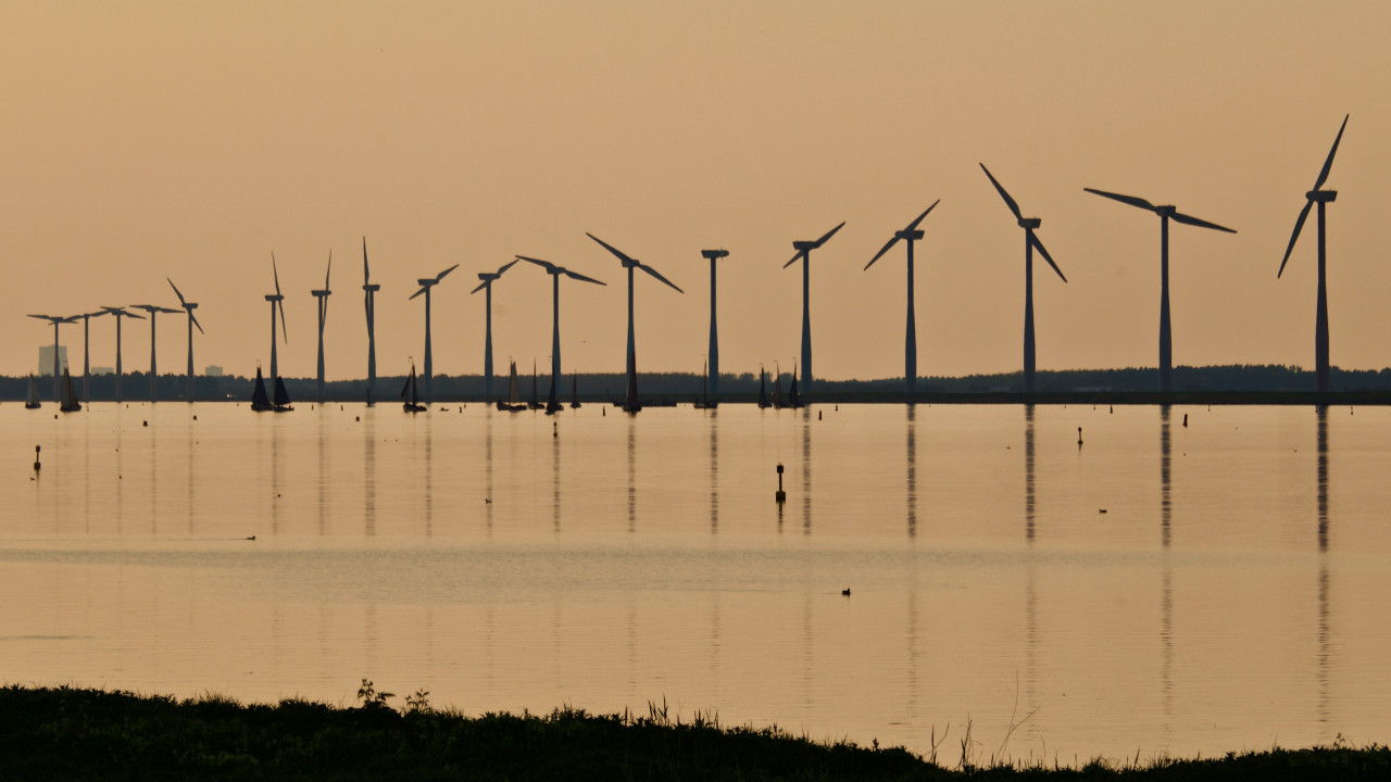 Daily Shorts: Lexus EV with 1,000 km range, Japan and Denmark tie up on offshore wind, and more