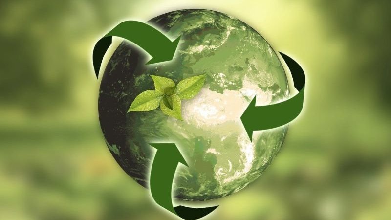 Green Jobs: Earn while you sustain
